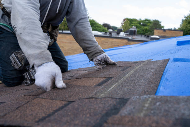 Quick and Trustworthy Emergency Roof Repair Services in Medina, MN